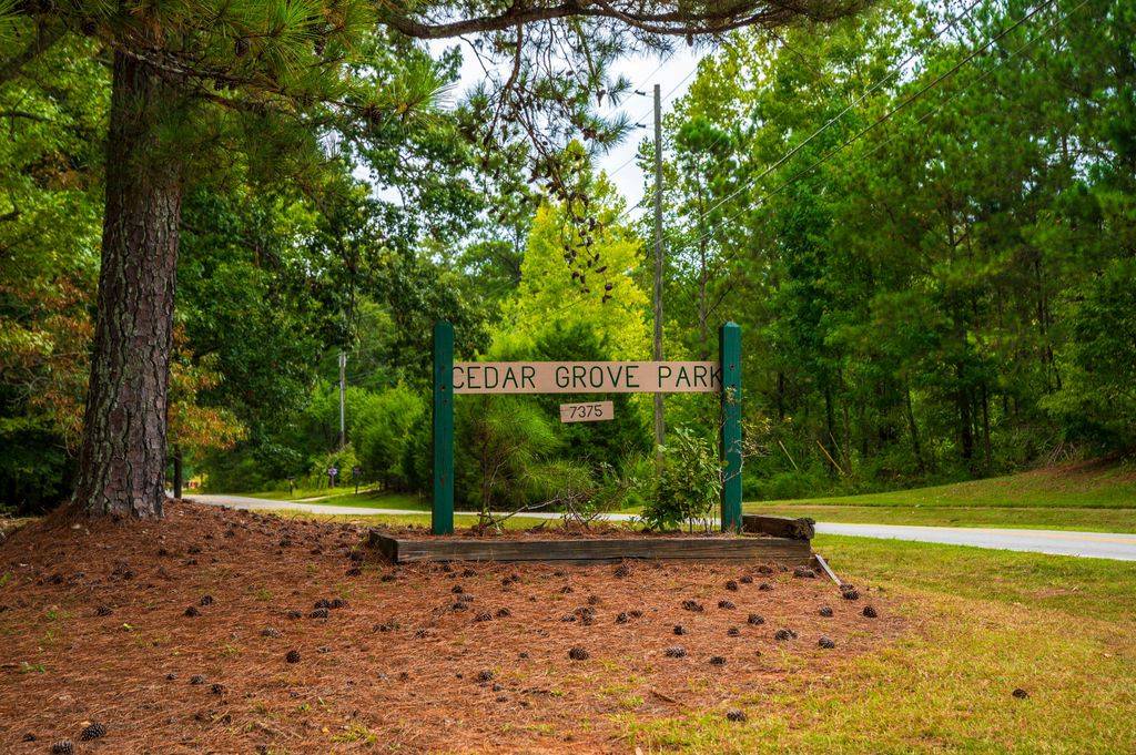 A-sign-reading-_CEDAR-GROVE-PARK_-surrounded-by-trees-and-pine-cones-on-the-ground