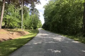 A smooth, winding road flanked by lush green trees and under a clear blue sky, inviting a sense of tranquility and nature